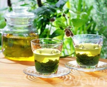Káº¿t quáº£ hÃ¬nh áº£nh cho green tea in VIetnam